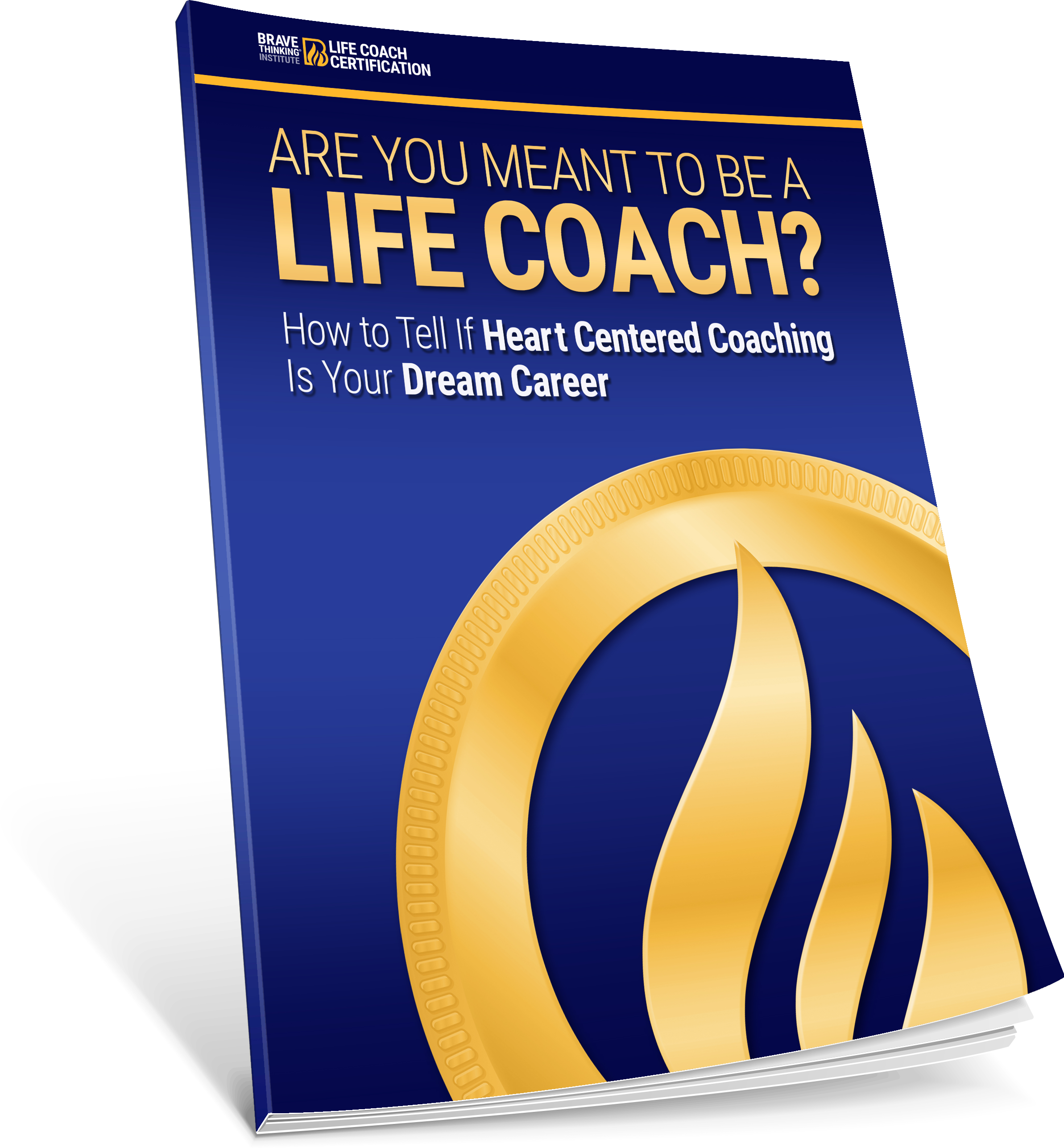 Are you meant to be a Life Coach ebook